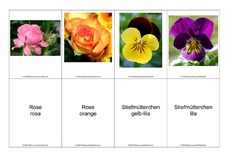 Blumen-Memo-Aufdeckspiel-8.pdf